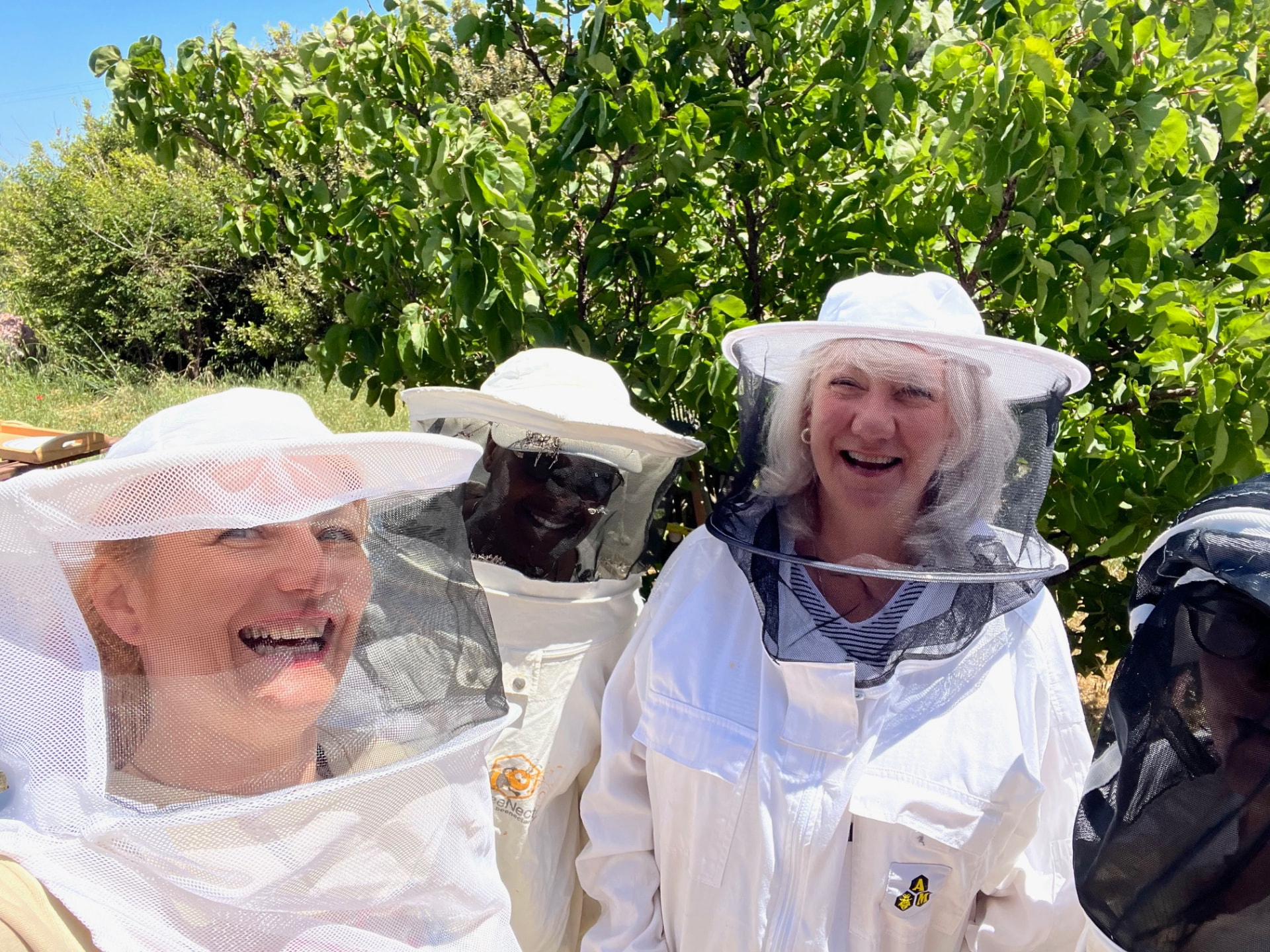 Beekeeping visit in beekeeper suits, Ikaria 2025